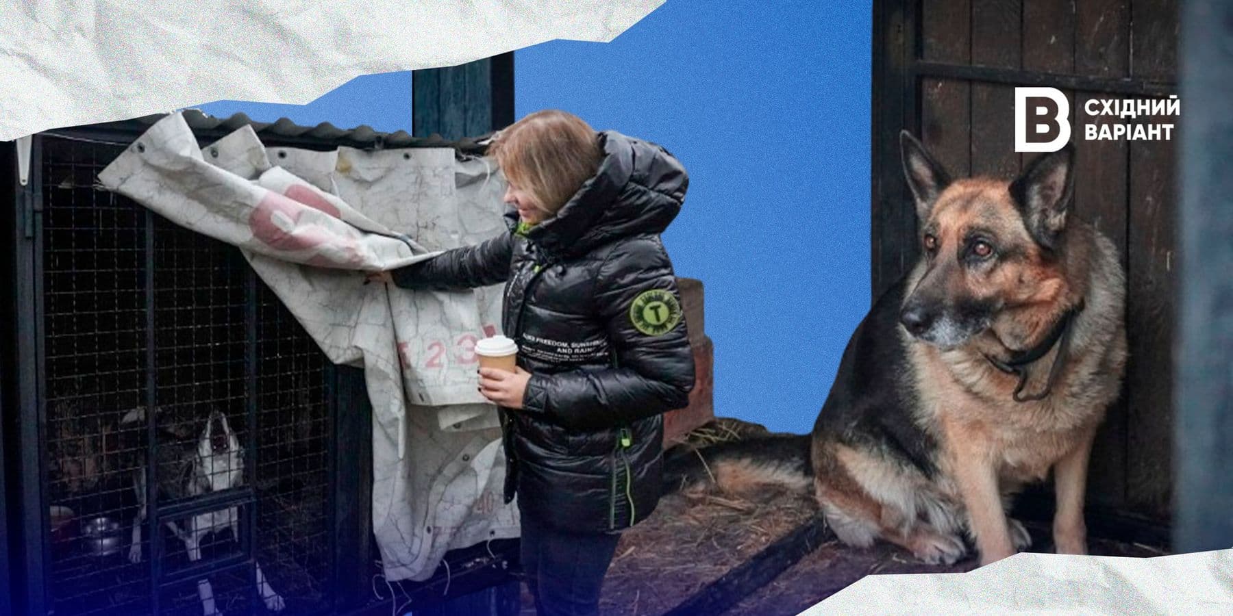 тварини з Донеччини