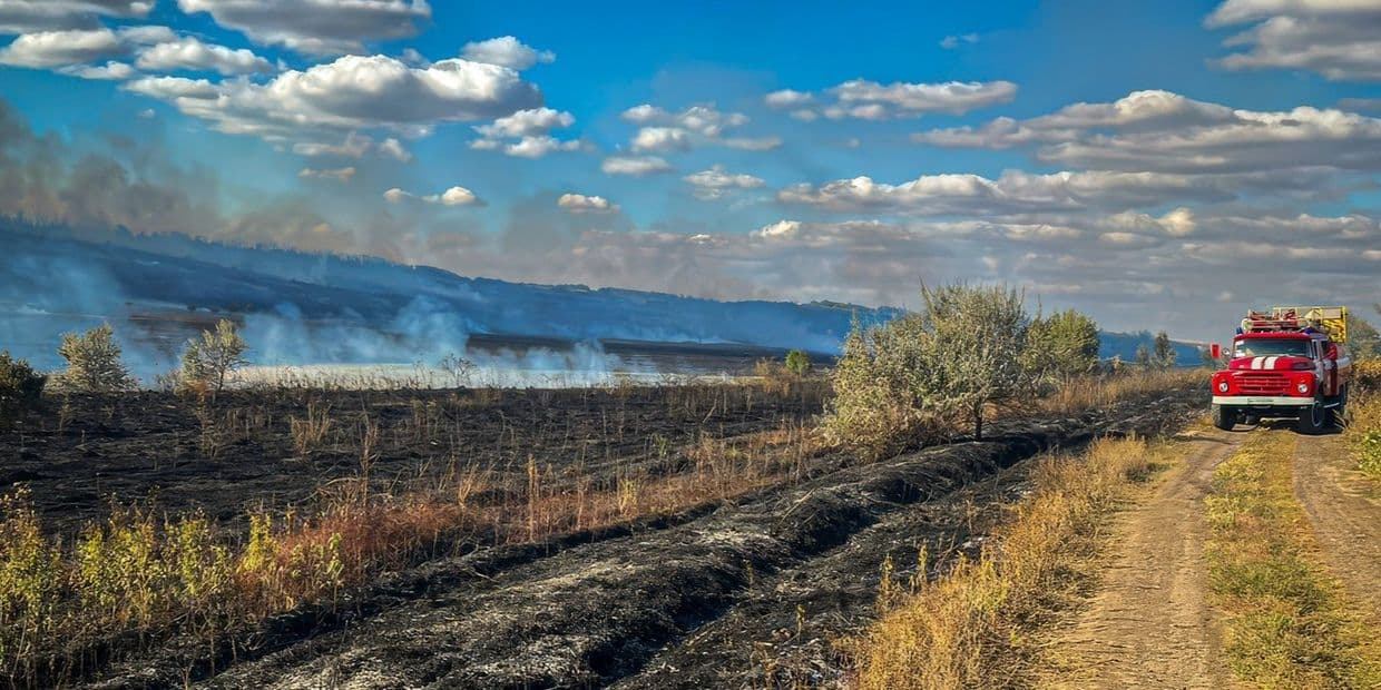 <em>Пожежа на відкритій території. Фото: ДСНС Луганщини</em>