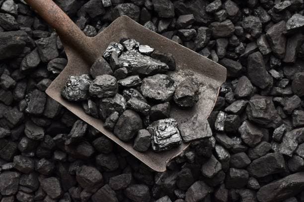<em>Лопата та вугілля. Фото: iStock</em>