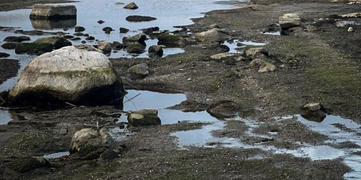 <em>Річка Кальміус у районі Павлопільського водосховища. Фото: Андрющенко Time</em>