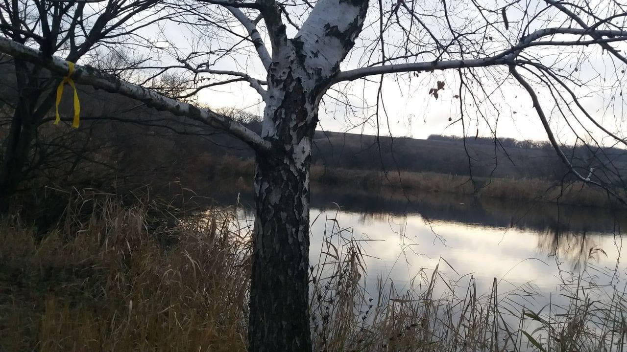 Фото: Жовта Стрічка