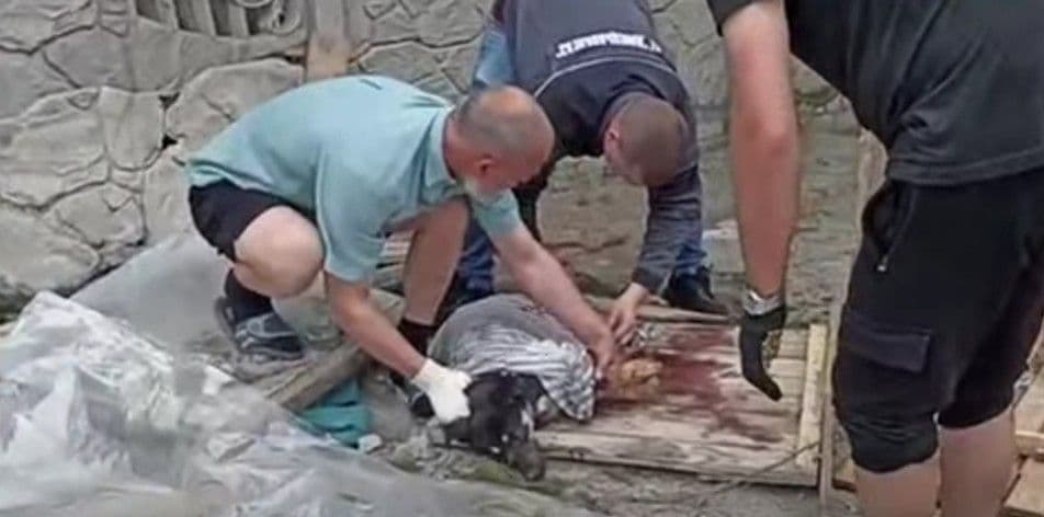Рятування пораненого собаки. Скриншот з відео "Донецькоблгазу"