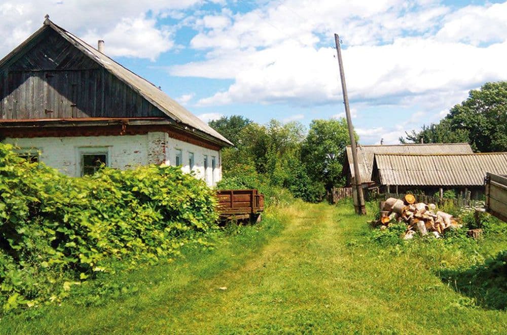 Будинок у селі. Фото: e-mis.com.ua