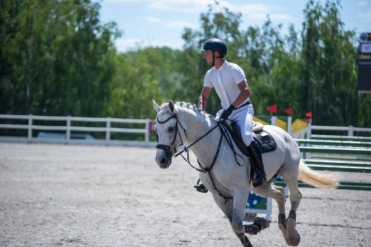 У Дніпрі відбувся відкритий чемпіонат Донецької області з кінного спорту