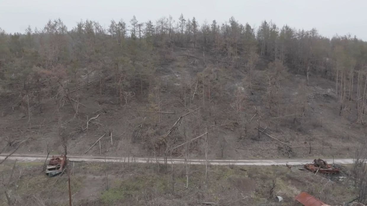 У "Святих Горах" майже третина лісів знищена через війну (фото)