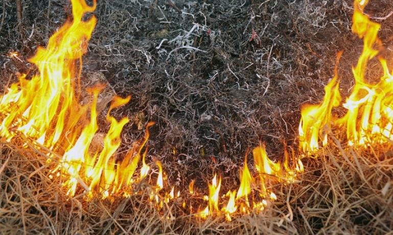 В Мариуполе недалеко от заправки произошел пожар