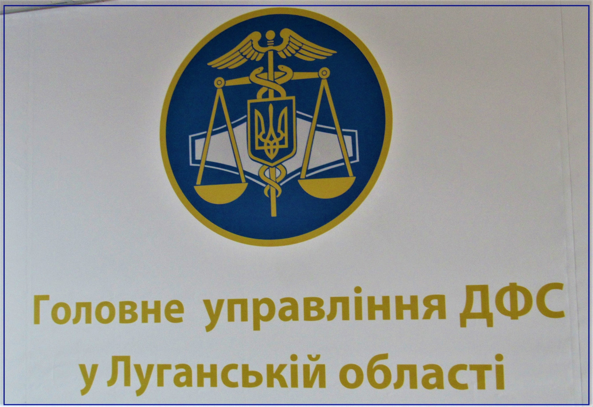 Почти тысяча человек на Луганщине начали зарабатывать себе пенсионный стаж благодаря налоговой