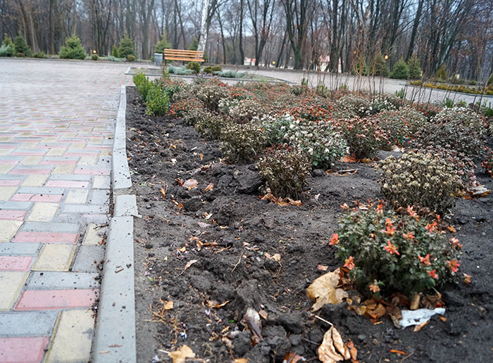 Полиция будет чаще патрулировать парк в Краматорске: причина
