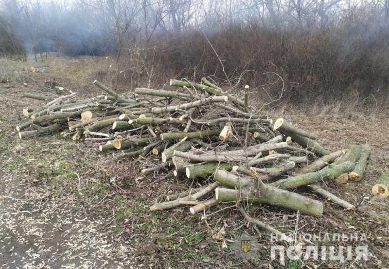Полиция Бахмута задержала группу "черных лесорубов"