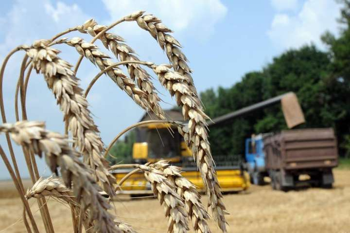 На Луганщине планируют создать клуб "Лучшие аграрные практики"