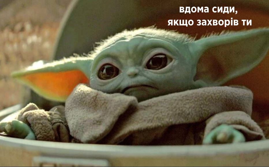 Школы Северодонецка закрыли на карантин