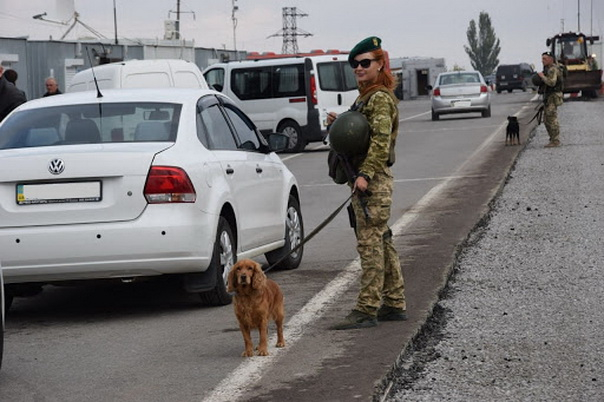 Пограничники предотвратили провоз в ОРДЛО наркотических веществ