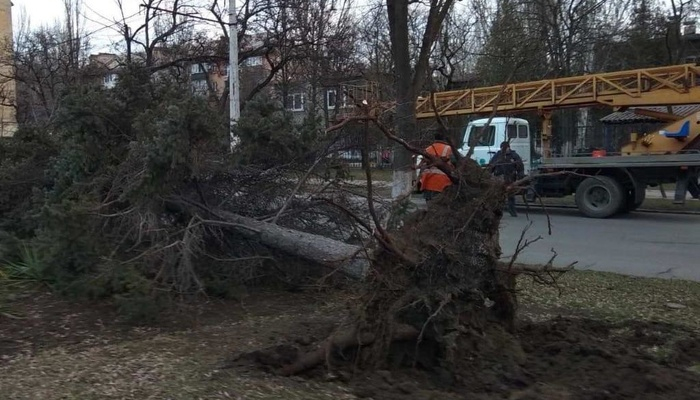 В Мариуполе показали, как ликвидировали последствия штормового ветра