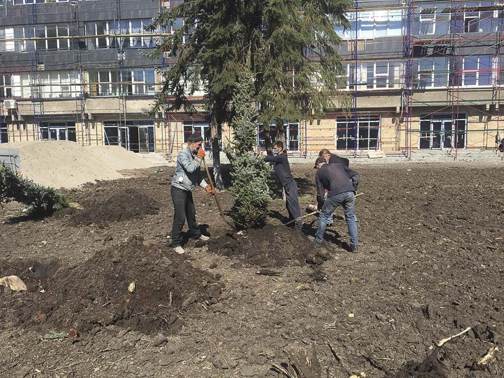 В Славянске рассказали, какие деревья высадят на бульваре Пушкина