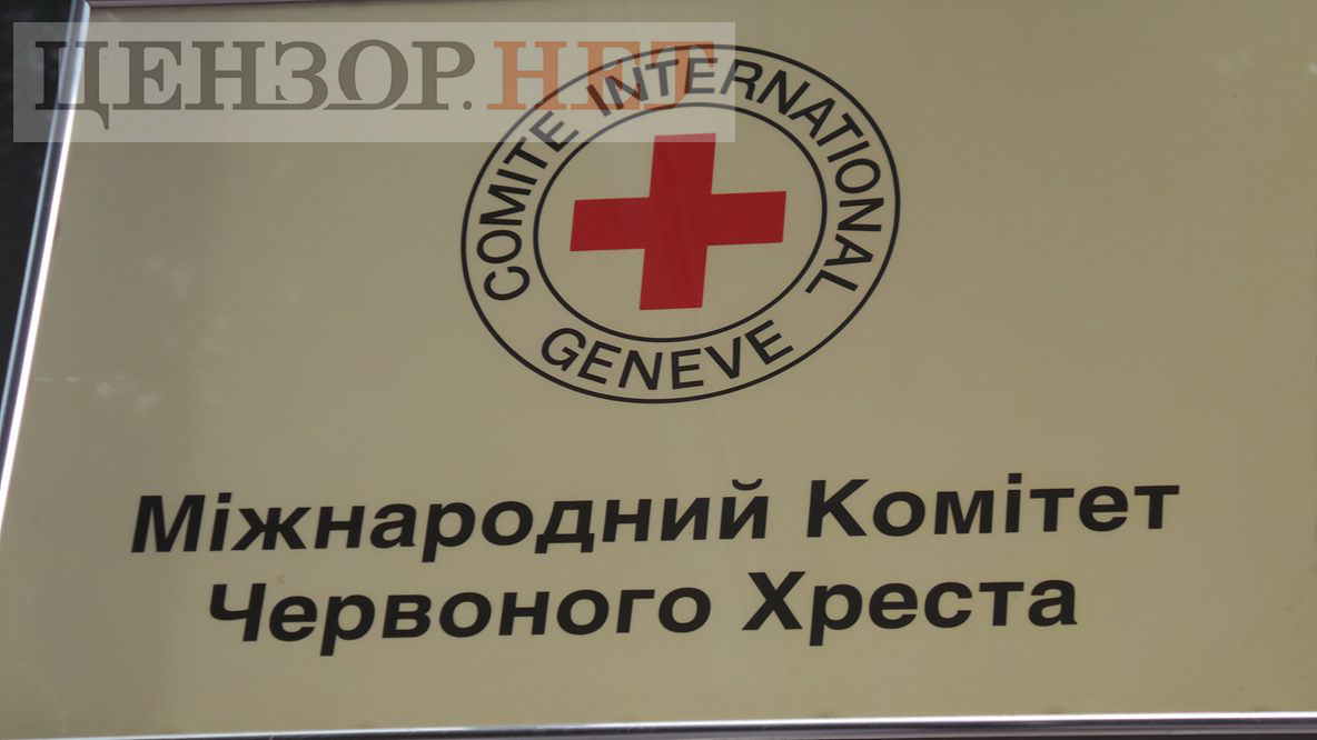 Красный Крест передал гуманитарную помощь в инфекционную больницу Мирнограда на Донетчине