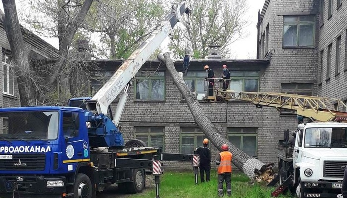 Штормовой ветер повалил деревья на детсад в Мариуполе: фото