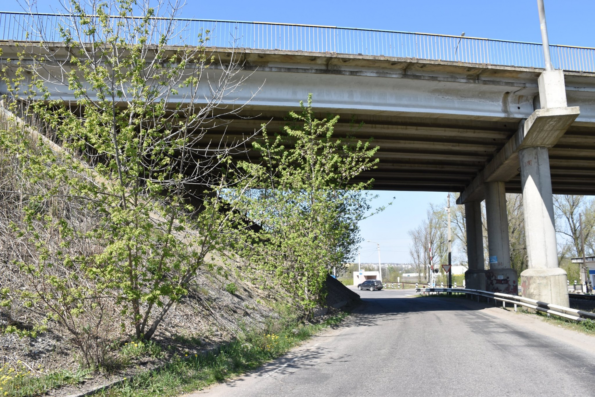 Чтобы сохранить путепровод, в Краматорске срубят почти 400 деревьев