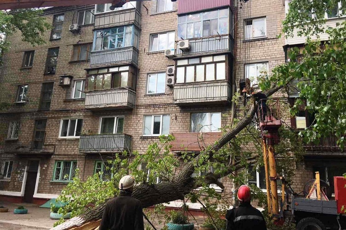 В Мариуполе штормовой ветер повалил на дом 12-ти метровое дерево: фото