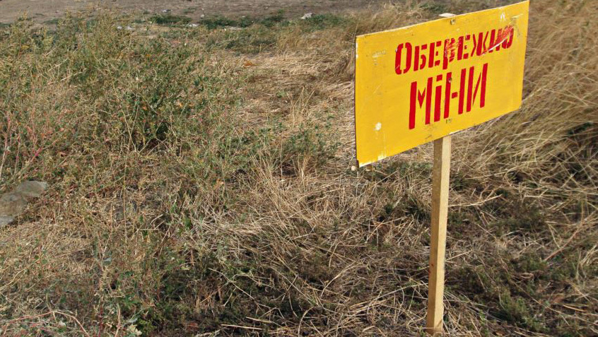 Прокуратура начала расследование ранения женщины на минном поле на Донетчине