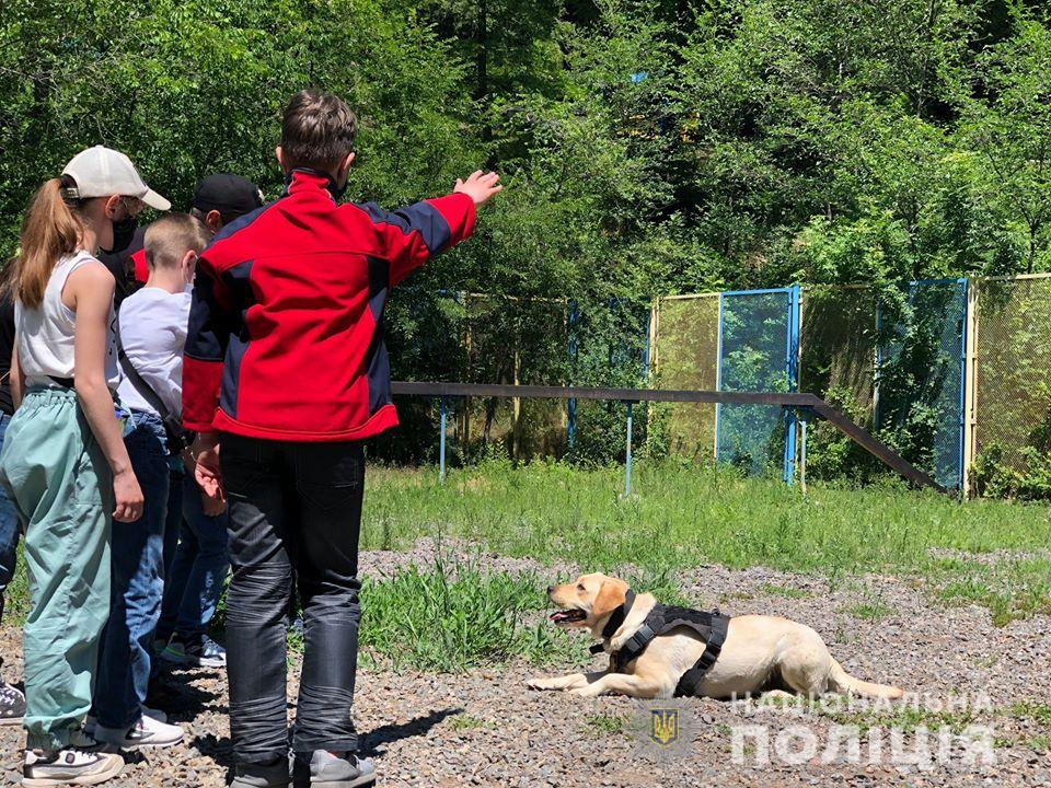На Донетчине провели показательные выступления полицейских собак