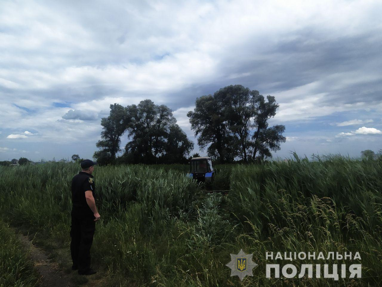 В Лиманском районе полиция уничтожила полгектара конопли