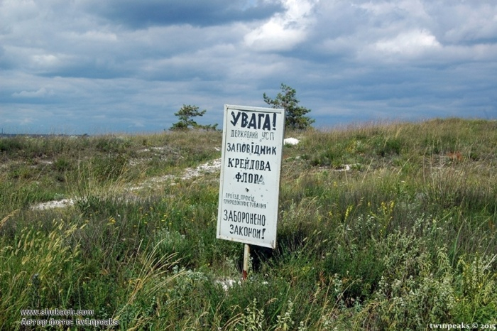 В заповедных зонах Донетчины нельзя собирать грибы и отдыхать: причины