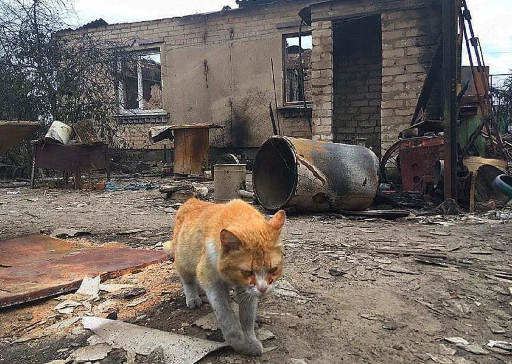 В ЛугОГА ожидают поступление средств для пострадавших от пожаров во вторник