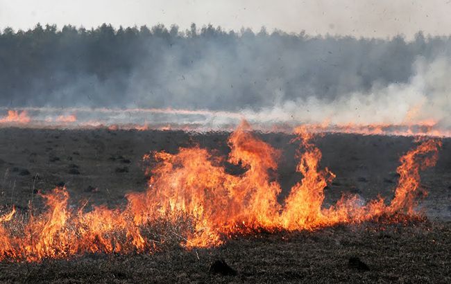 Пожары в ОРЛО уничтожили 18 га сухостоя и мусора