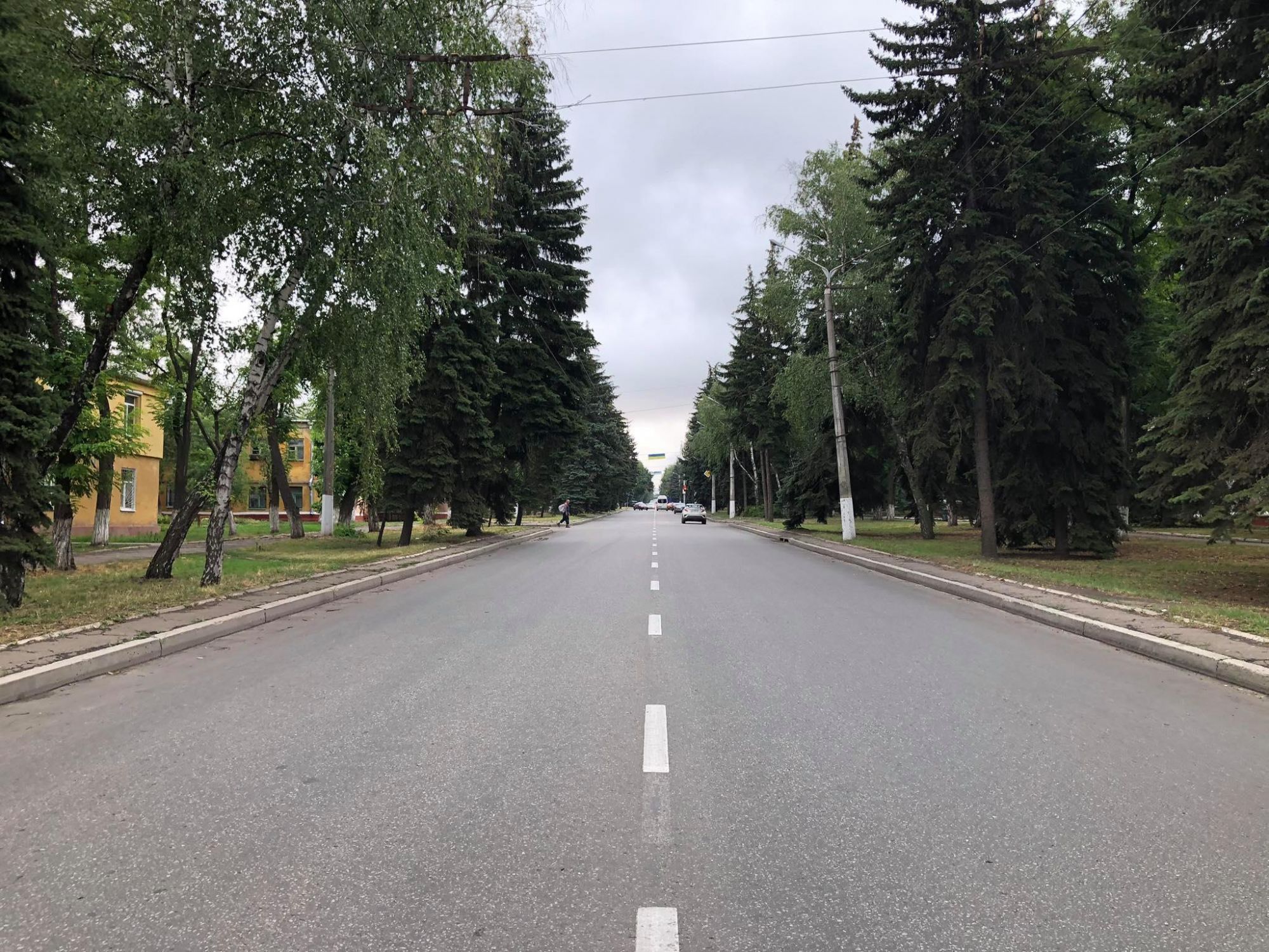 В Краматорске проведут инвентаризацию зеленых насаждений