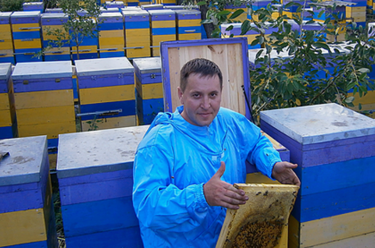 Пчеловод с Луганщины держит пасеку из 400 пчелосемей