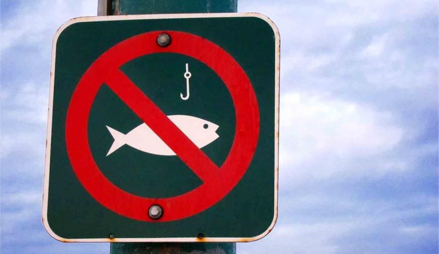 В Северодонецке запретили вылов рыбы в водоеме "Озере Парковое"