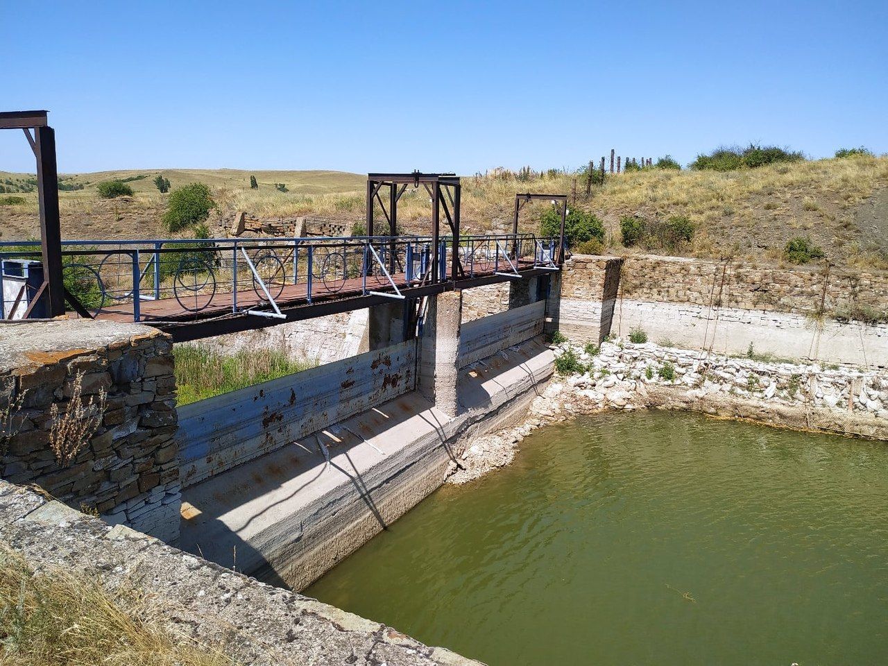 В ОРЛО пересыхают водоемы и массово мрет рыба: фото