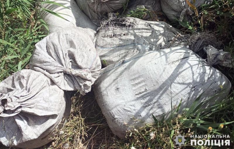 В Покровске на железнодорожной станции мужчина пытался украсть 500 кг угля
