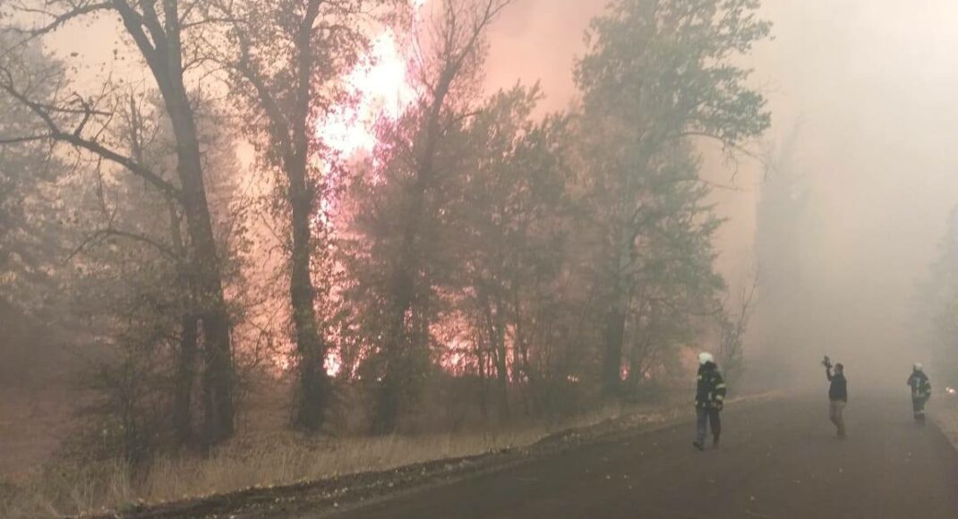 На Луганщине пожар подобрался вплотную к Северодонецку: видео