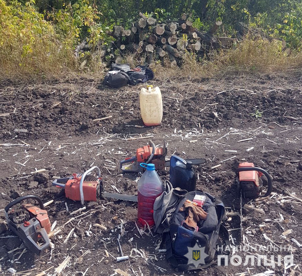На Донетчине ликвидировали нелегальный бизнес по вырубке леса