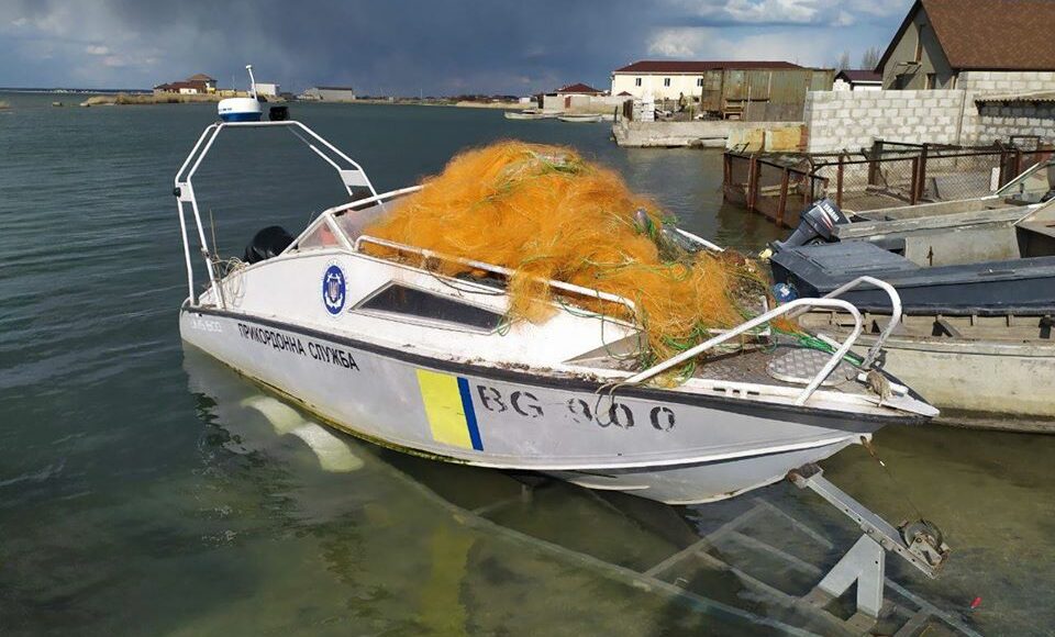 У браконьєрські сітки в Азовському морі попався дельфін