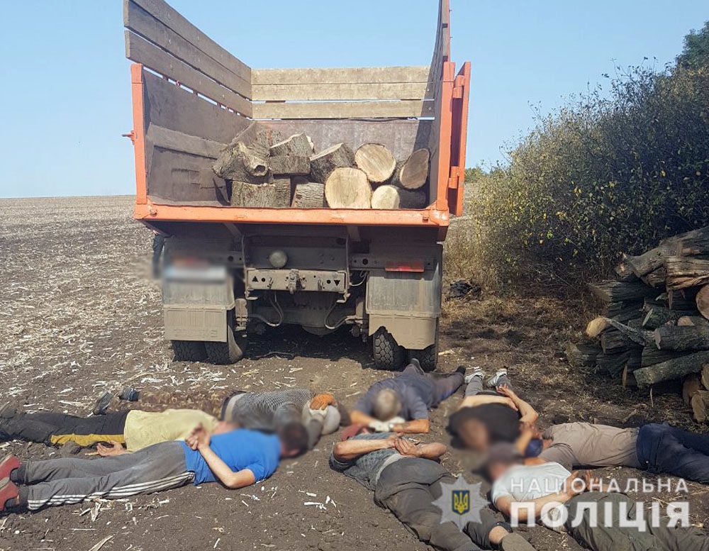 На Донетчине ликвидировали нелегальный бизнес по вырубке леса