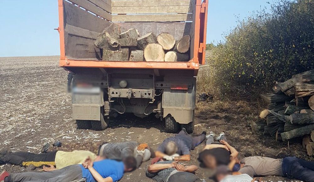 Полиция Донетчины ликвидировала нелегальный бизнес по вырубке леса на четыре миллиона гривен