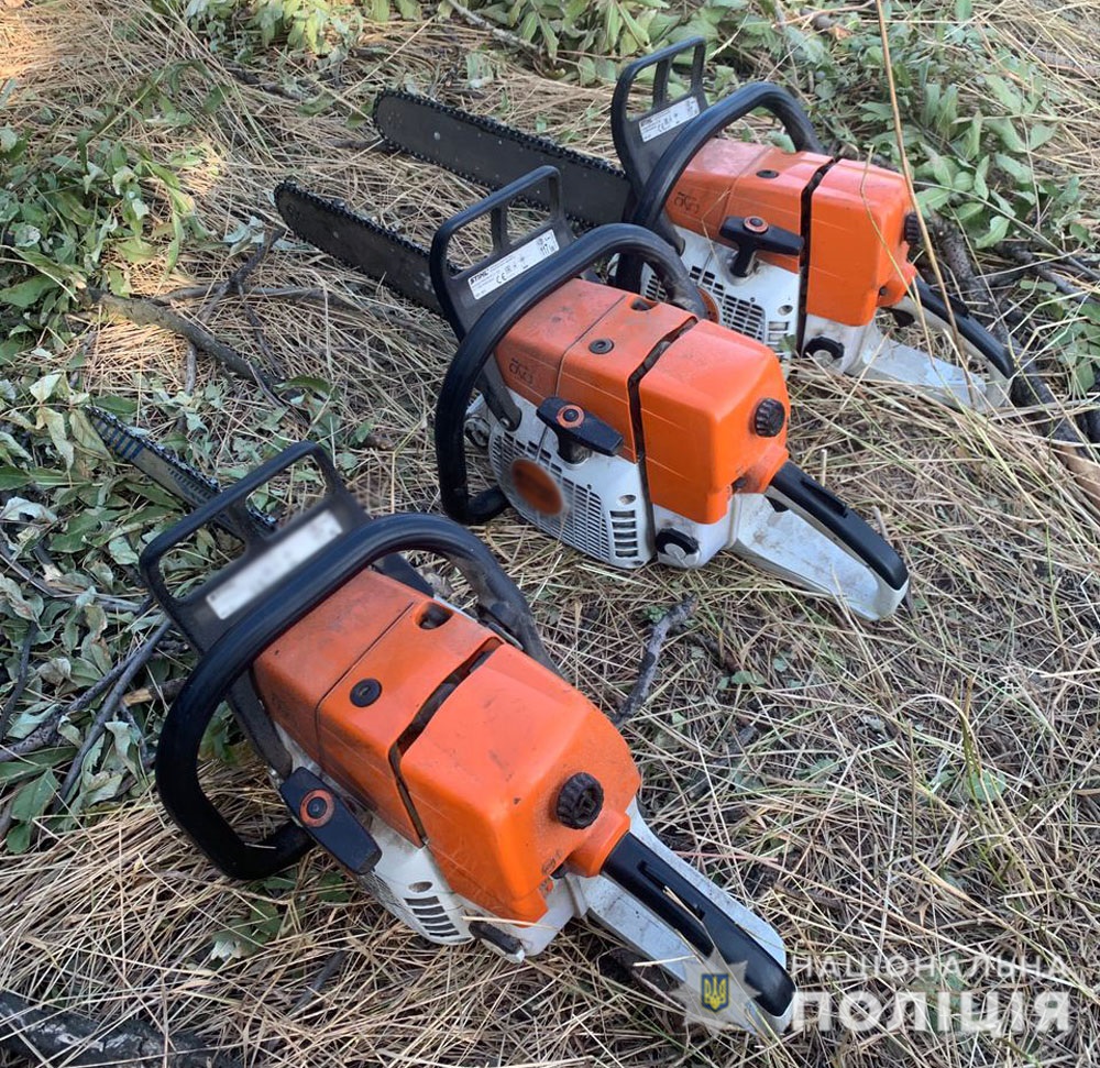 На Донетчине ликвидировали нелегальный бизнес по вырубке леса