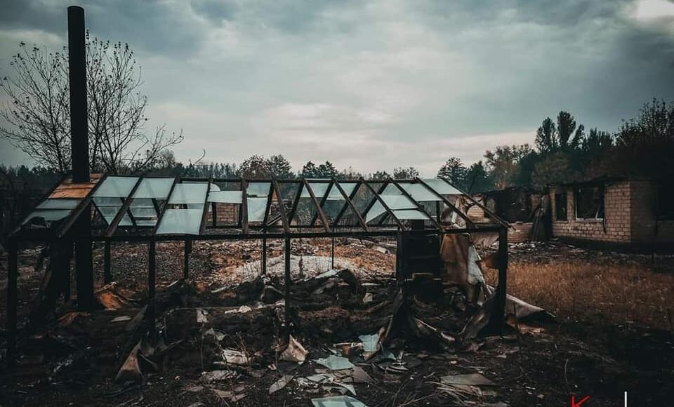 На Луганщине подсчитали убытки от пожаров: сгорело 19 тысяч гектар леса и повреждено 400 домов