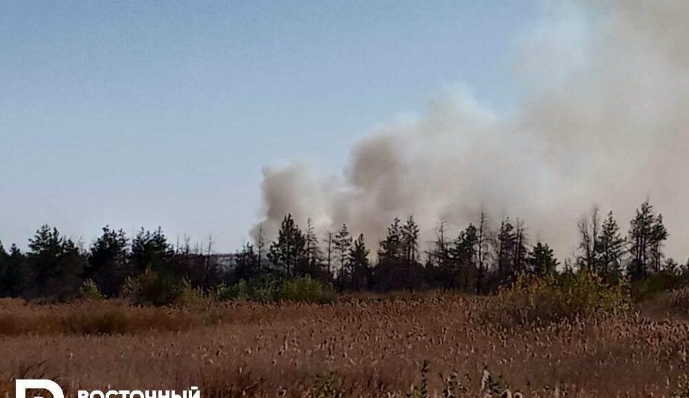В Станице Луганской снова происходят пожары: из поселков эвакуируют людей