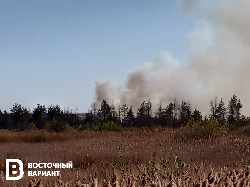 В Станице Луганской снова происходят пожары