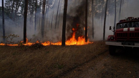 На Луганщине ликвидировано еще 9 очагов возникновения пожаров