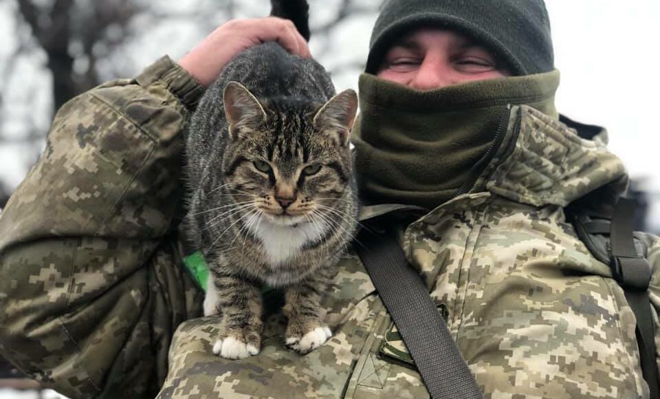 На КПВВ "Золотое" вместе с пограничниками несут службу коты и собаки: фото
