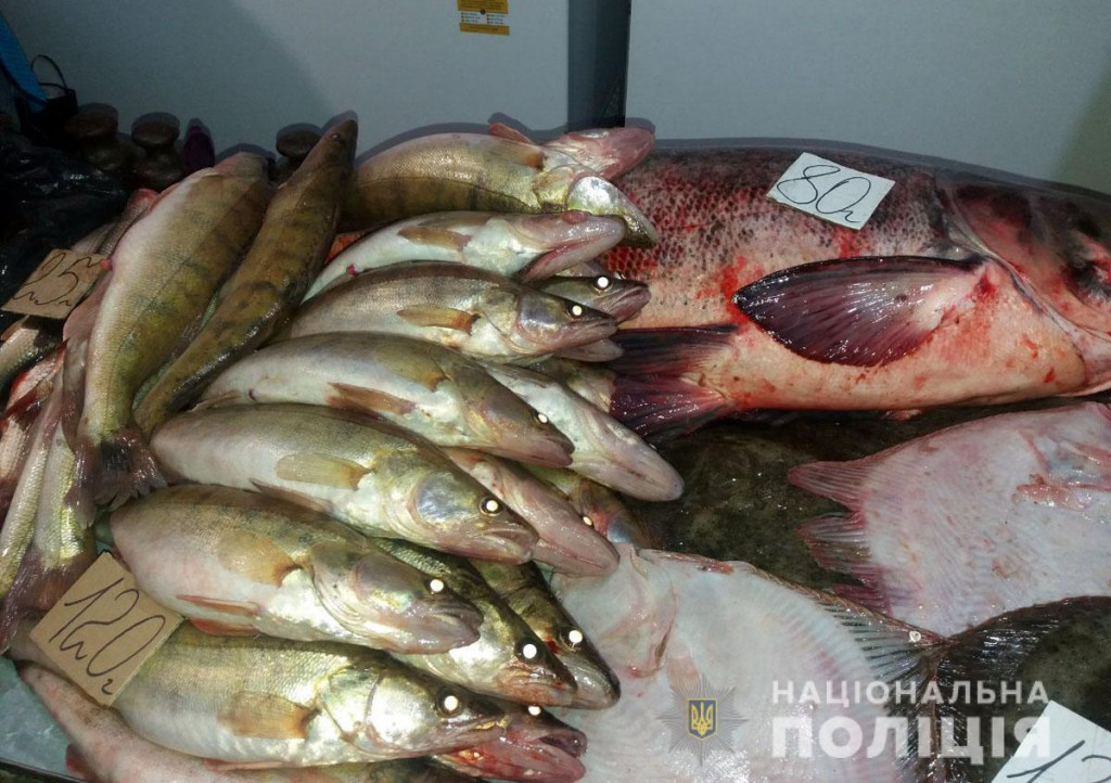 незаконная торговля рыбой