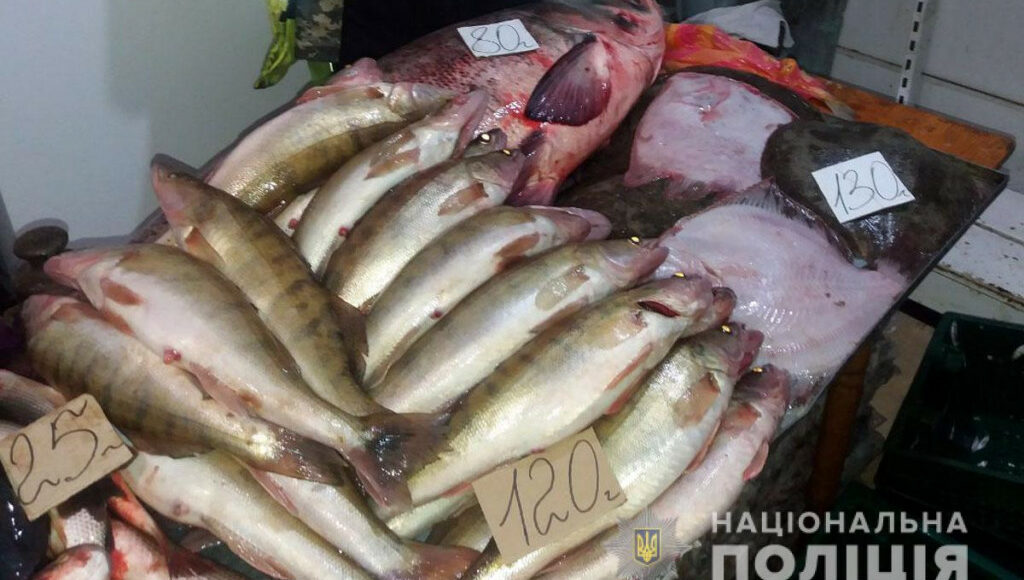 У Маріуполі з незаконного продажу вилучили 500 кг риби