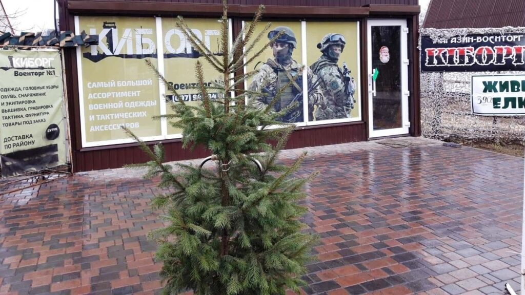 В Волновахе жителям предлагают купить елку и высадить ее в городском парке