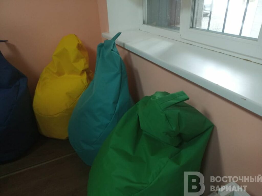 центр шелтер попасная