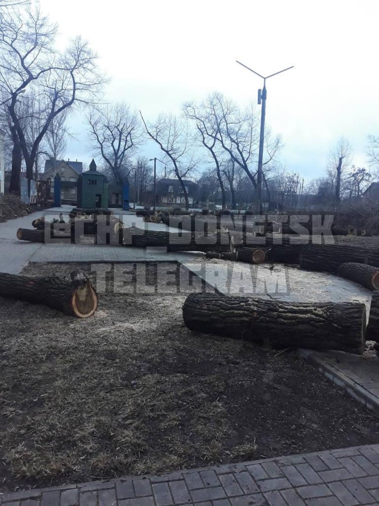 в Донецке вырубают парк