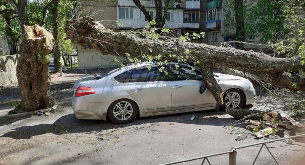 В оккупированном Донецке автомобиль привалило деревом